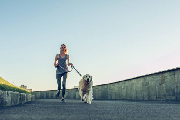 istock Woman running with dog 942597980