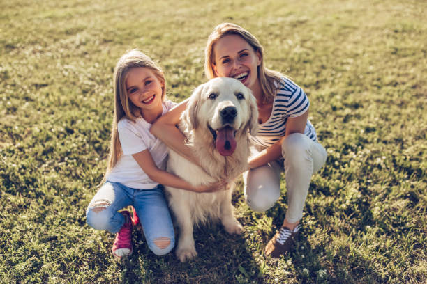 istock Happy family with dog 942599168