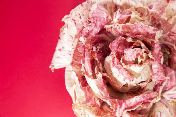 istock Radicchio Castelfranco Italian lettuce 942599800
