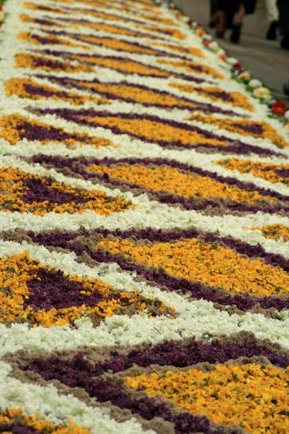 istock a carpet of flowers 942602270