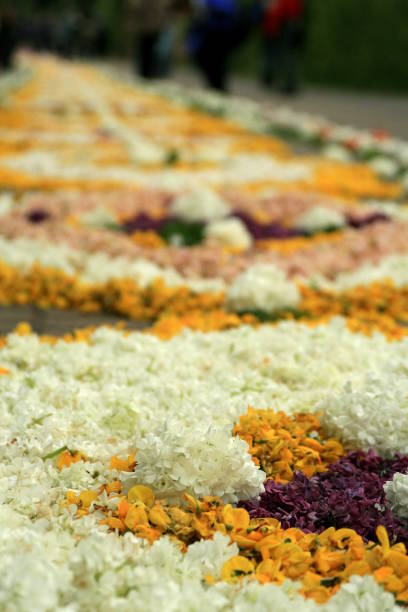 istock a carpet of flowers 942602346