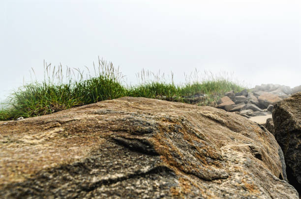 Huge stones, green grass and the thick mist, hanging over the earth. Mysterious landscape.