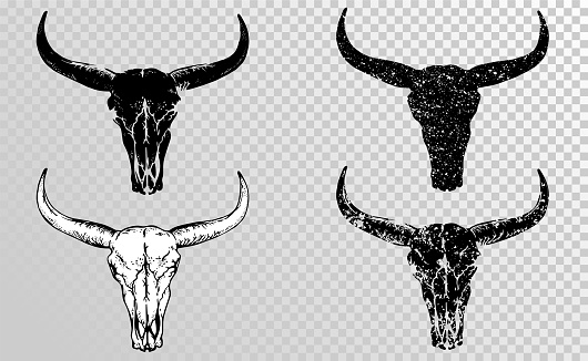 Vector set of black skulls buffalo, bull or cow on a transparent background. Hand drawn graphic. Black silhouettes.