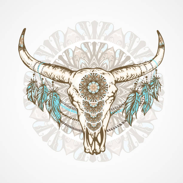 illustrations, cliparts, dessins animés et icônes de illustration vectorielle avec un crâne de bison sauvage avec des motifs décoratifs. - animal skull horned wild west skull