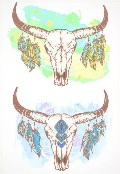 Vector illustration of Vector illustration with a wild buffalo skulls and feathers, in the boho style.