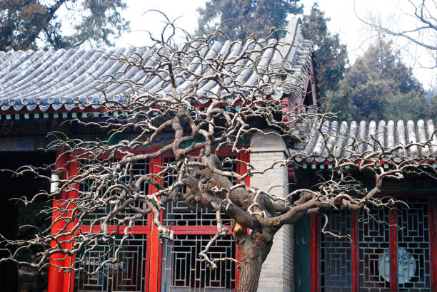 istock Summer Imperial palace in China 942607014
