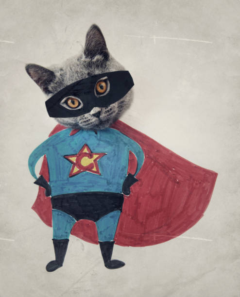 Kitten in a face hole of a superhero, homemade drawing