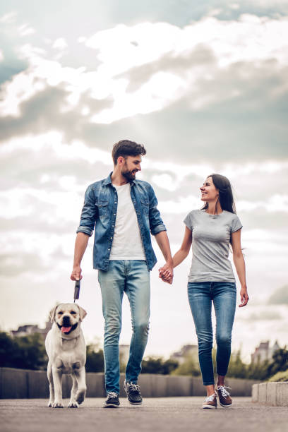 istock Couple on a walk with dog 942616254
