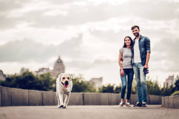 istock Couple on a walk with dog 942616270