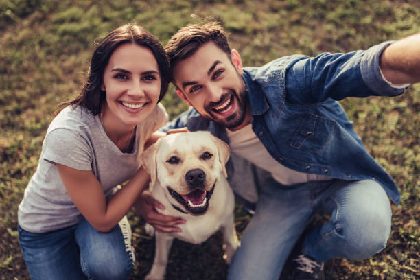 Couple with dog Beautiful romantic couple is having fun with their dog labrador retriever outdoors. Sitting on a green grass and making selfie. labrador retriever photos stock pictures, royalty-free photos & images