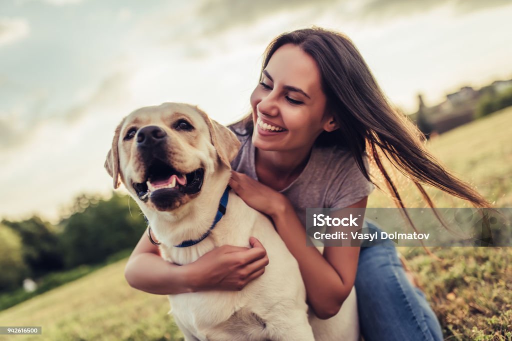Young woman with dog Attractive young woman with labrador outdoors. Woman on a green grass with dog labrador retriever. Dog Stock Photo