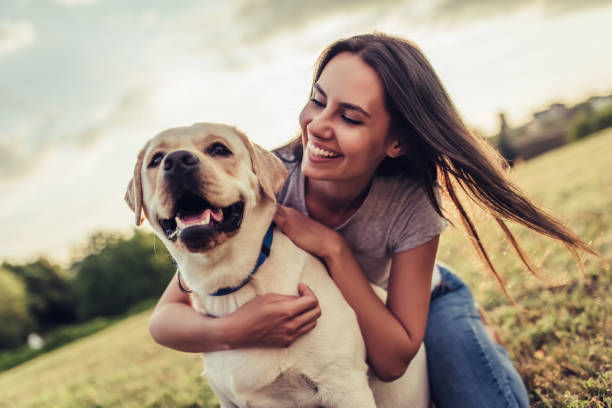 Young woman with dog Attractive young woman with labrador outdoors. Woman on a green grass with dog labrador retriever. labrador retriever photos stock pictures, royalty-free photos & images