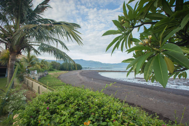 красивый вид на закат на красивом черном песчаном пляже - black sand beach hawaii islands maui стоковые фото и изображения