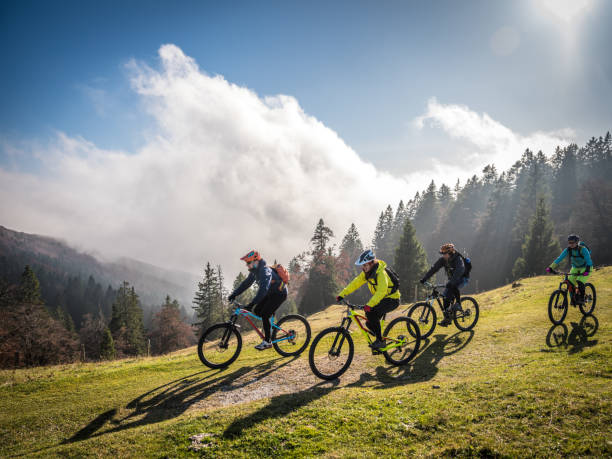 Bikers riding mountain bikes Mountain bikers riding mountain bikes on mountain trail, trees in background. cycling helmet photos stock pictures, royalty-free photos & images