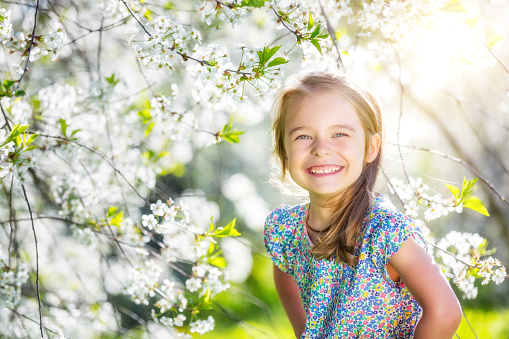 Happy little girl playing in spring cherry garden