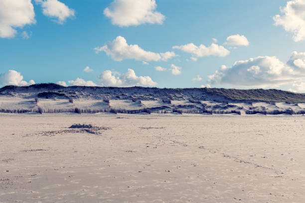 istock Dunes on the North Sea coast 942627368