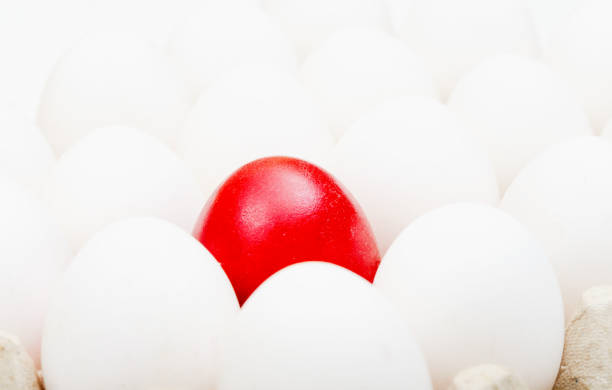 Red Egg Standing Out from a Crowd of Ordinary Eggs