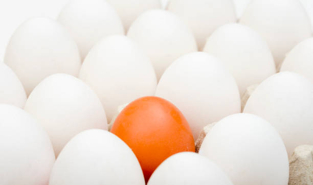 istock Brown Egg Standing Out from a Crowd of Ordinary Eggs 942627420