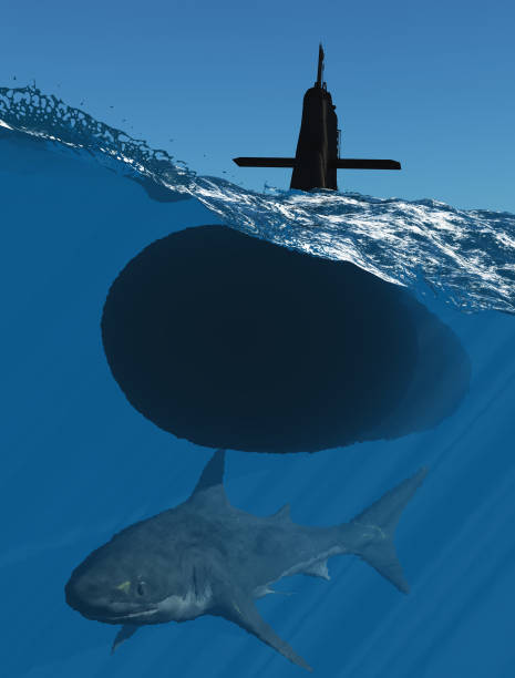 istock Submarine and and shark 942628262
