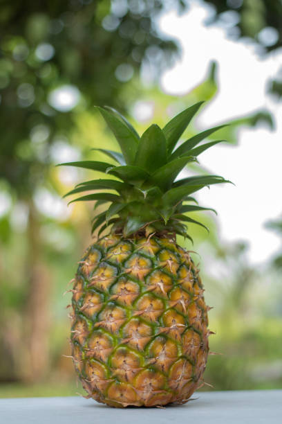 istock pineapple fruit on wood table, picec of pineapple fruit for diet healthy 942632404
