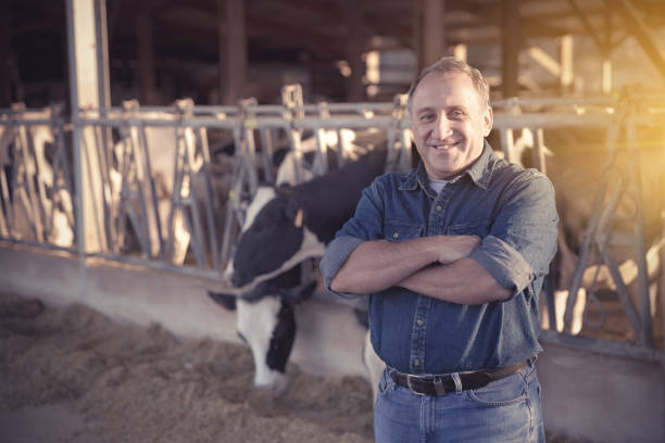 istock Successful male farmer in cowshed 942635368