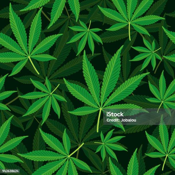 Seamless Background Cannabis Leaf Stock Illustration - Download Image Now - Cannabis Plant, Marijuana - Herbal Cannabis, Cannabis - Narcotic