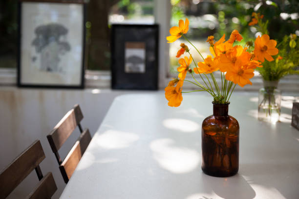 istock Cosmos Flower was put into a glass bottle. 942639076