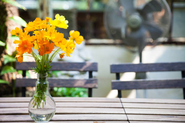 Cosmos Flower was put into a glass bottle. To decorate on the table to be beautiful and moist when to seen