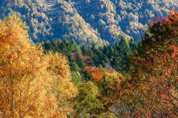 mountain autumnal landscapes in Bergamo province in a sunny morning