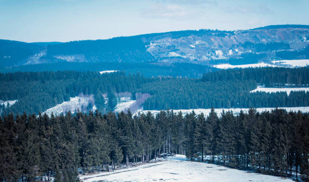 Winter mountain landscape with pine forest. Winterberg. Germany. Winter mountain landscape with pine forest. Winterberg. Germany. winterberg stock pictures, royalty-free photos & images