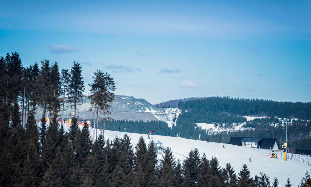Wintersport scenery with pine trees and blue sky. Winterberg, Germany. Wintersport scenery with pine trees and blue sky. Winterberg, Germany. winterberg stock pictures, royalty-free photos & images