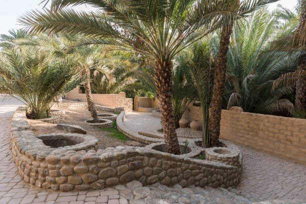 istock Al Ain oasis, Abu Dhabi emirate, UAE 942647268