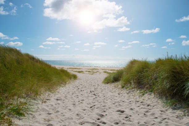 An empty beach in the Netherlands with the calm sea waves meeting the sand on an overcast late afternoon, early evening in spring, soft color tones