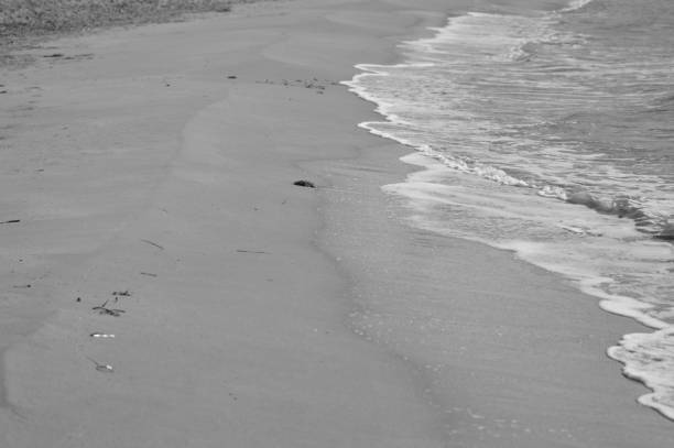 istock Zoom on the beach from the mediterranean sea (italy) 942665292