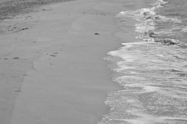 istock Zoom on the beach from the mediterranean sea (italy) 942665450