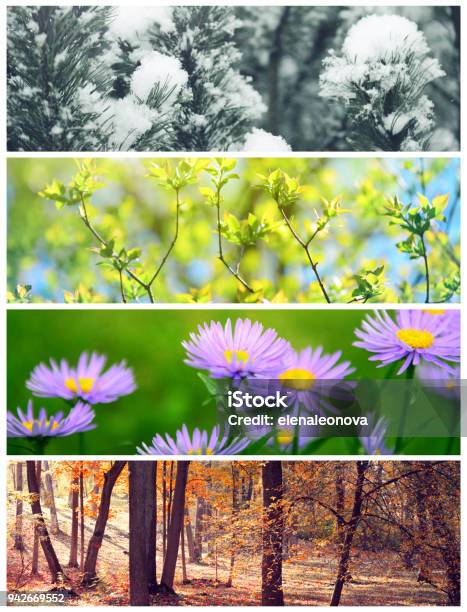 Four Seasons Conceptual Collage Stock Photo - Download Image Now - Four Seasons, Season, Change