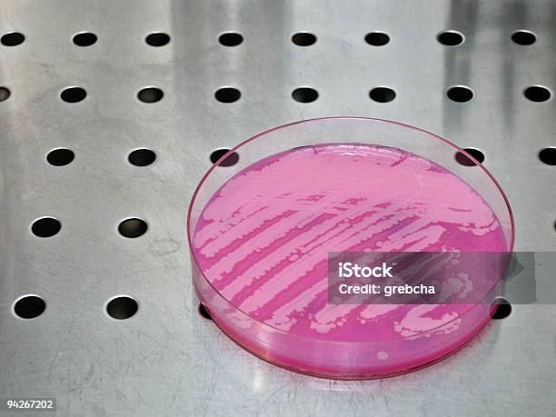 Чашка Петри С Бактериями — стоковые фотографии и другие картинки Агар - Агар, Бактерия, Без людей