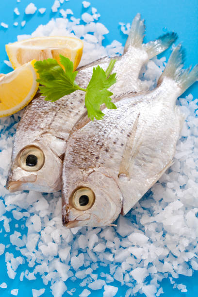 Raw fish