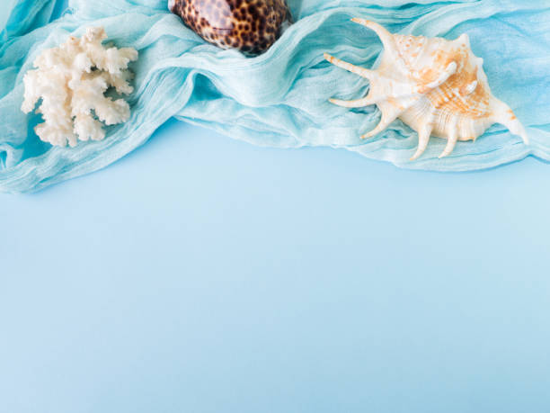 istock Shells of various kinds on a blue background. Seashells and starfish on a pastel background. Vacation concept 942677542