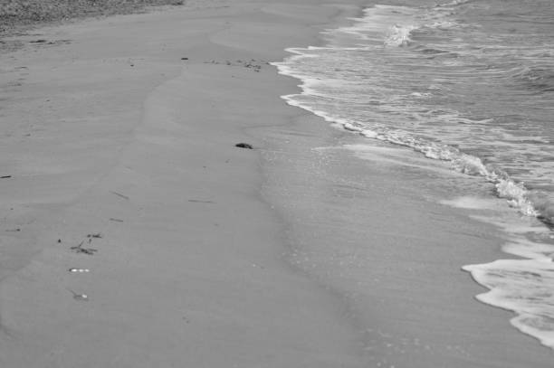 istock Zoom on the beach from the mediterranean sea (italy) 942678654