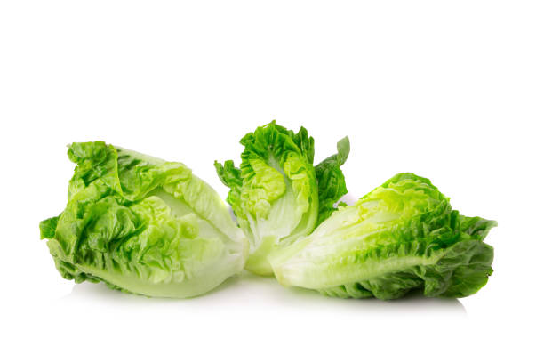 istock fresh baby cos (lettuce) on white background 942682444