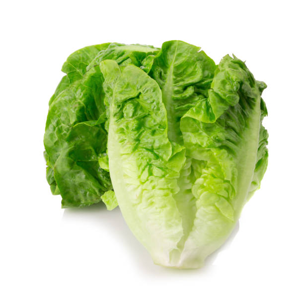istock fresh baby cos (lettuce) on white background 942682450