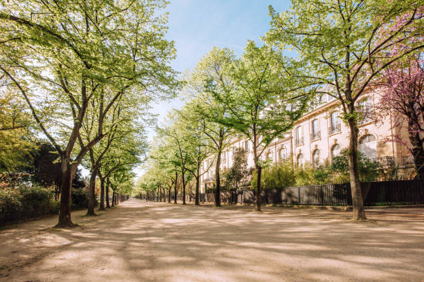 Spring in Paris, park near Eiffel tower, Paris, France