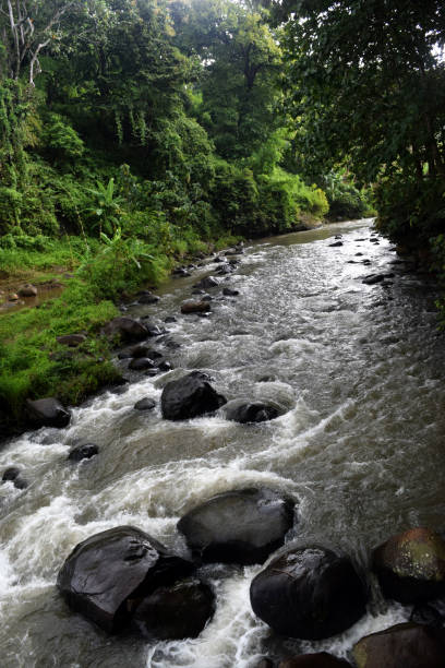 istock river in the countryside with natural stone 942699818