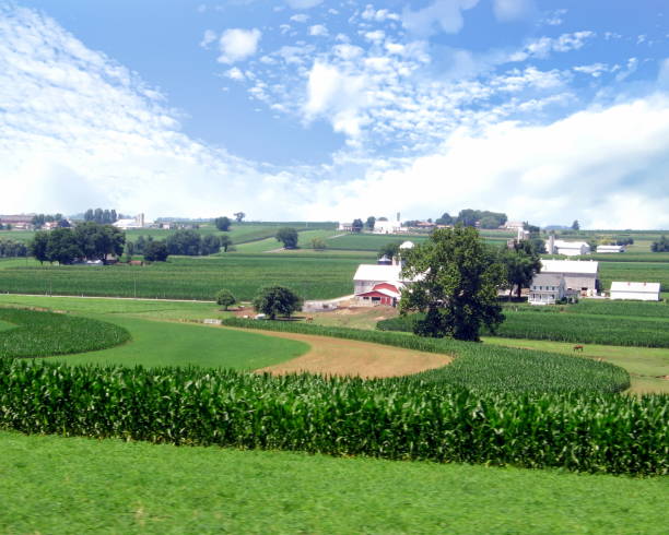 istock Amish Farm Country 942701162