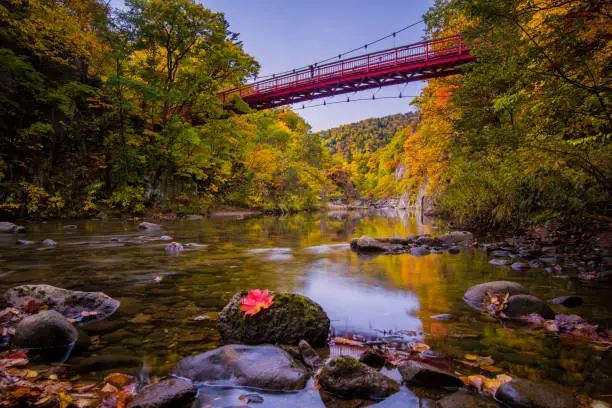 Jozankei Sapporo, Is The Best Place that you can see the Autumn Foliage in Sapporo Area