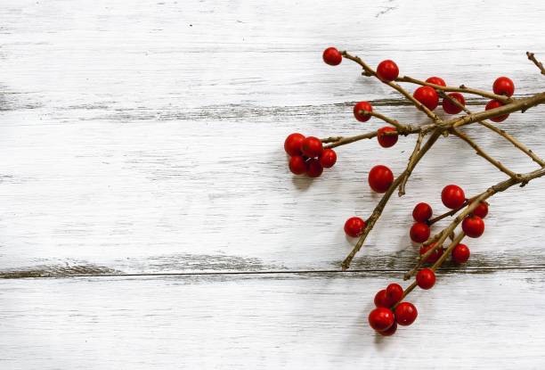 istock Winter berries on wooden background with copy space, selective focus 942703792