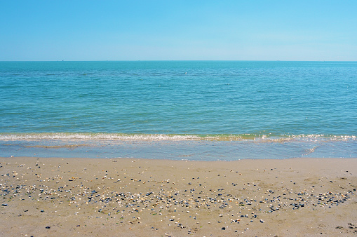 Empty sand beach background. Horizon with sky and sea, seashells on sand