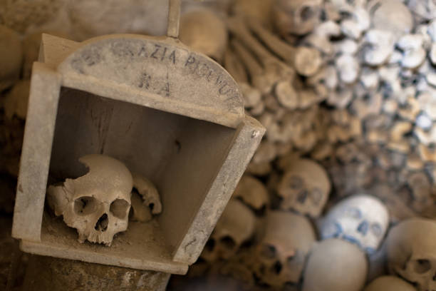 istock Skulls in Fontanel cemetery 942712572