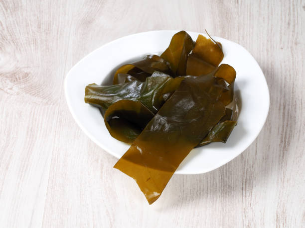 alga kombu - kombu (kombu kelp) - kombu foto e immagini stock